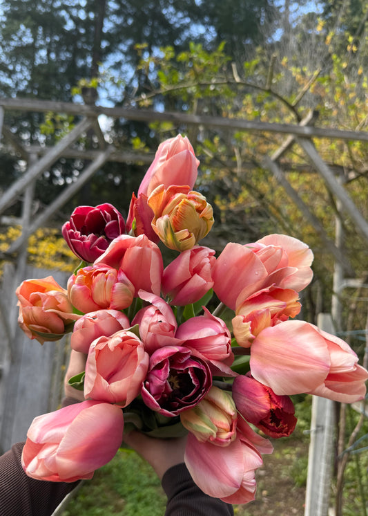 Garden Club Membership